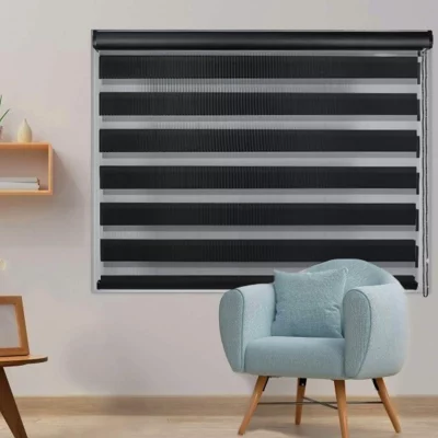 Zebra Shades Roller Blind Privacy Light Filtering Shades 2