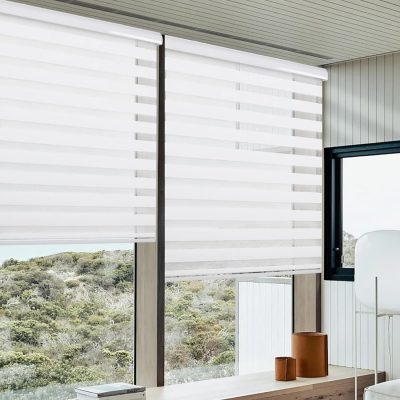 Zebra Shades Roller Blind Privacy Light Filtering Shades 3